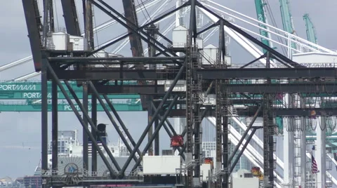 Port of Miami in 4K Stock Footage 51895997