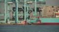 Port Newark-Elizabeth Marine Terminal 3 HD Footage
