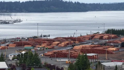 Port of Olympia in Washington State with massive stacks of timber logs at 스톡 동영상 335207154