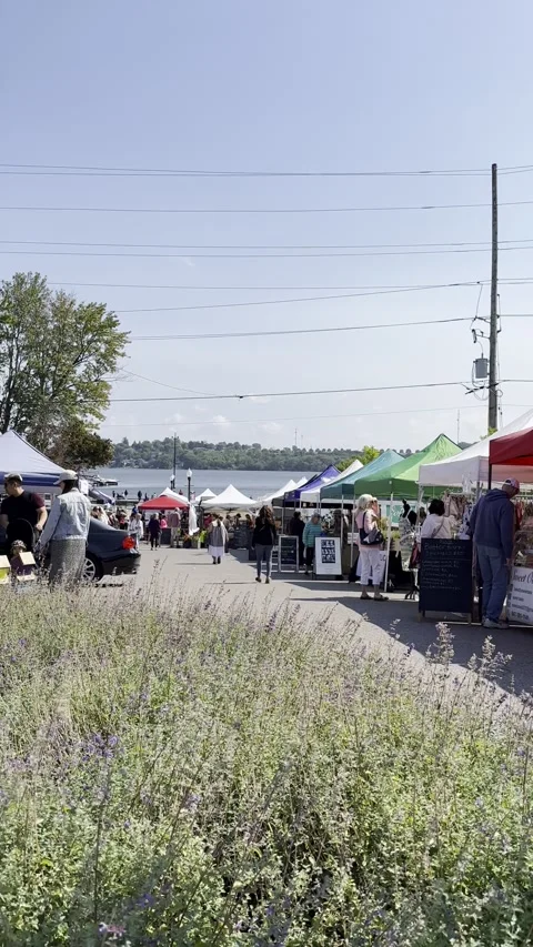 Port perry, canada - august 19 2023: the farmers market is held at the histor Stock Footage 341293258