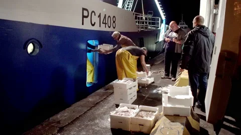 Port of Pescara, unloading of catch Stock Footage 131385445