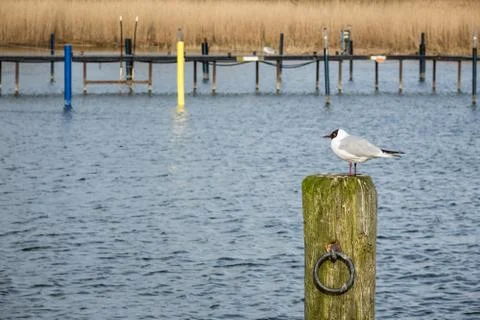 Port Stock Photos