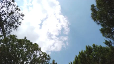 Port revealing2 Stock-Footage 136503369