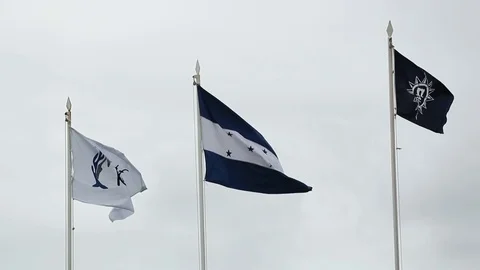 Port of Roatan Flags Slow Motion Video stock 84858687