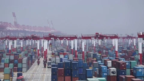 Port of Shanghai container zone Stock Footage 71107571