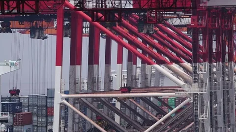 Port of Shanghai container zone Stock Footage 71108685