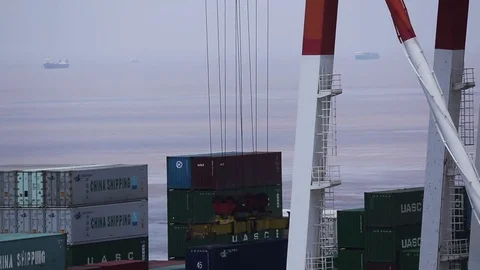 Port of Shanghai container zone Video stock 71108852