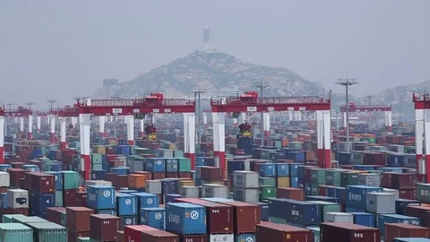 Port of Shanghai container zone, timelapse Stock-Footage 71102246