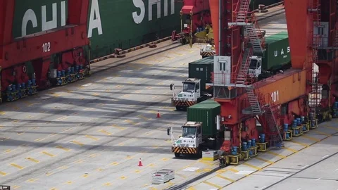 Port of Shanghai container zone, timelapse Stock-Footage 71102769