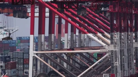 Port of Shanghai container zone, timelapse Stock-Footage 71103129