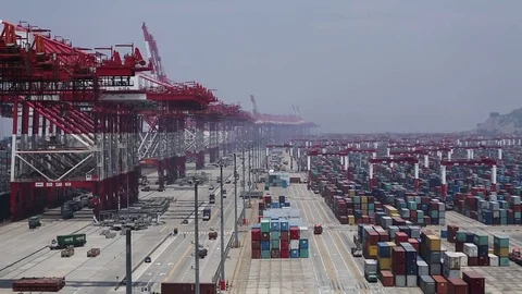 Port of Shanghai container zone, timelapse Stock-Footage 71103232