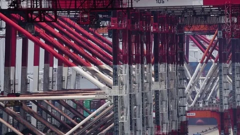 Port of Shanghai container zone, timelapse Stock-Footage 71104041