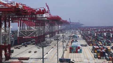 Port of Shanghai container zone, timelapse Stock Footage 71108154