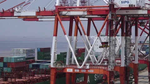 Port of Shanghai container zone, timelapse Stock Footage 71108717