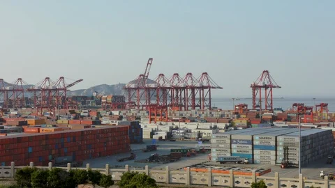 Port of shanghai 스톡 동영상 94226668