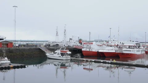 Port of the ships Stock Footage 106101239