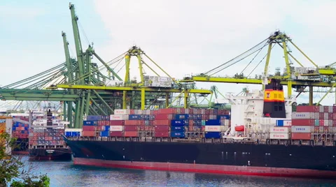The port of Singapore Stock Footage 61792917