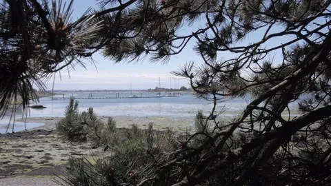 Port Solent Vídeos de archivo 132747190