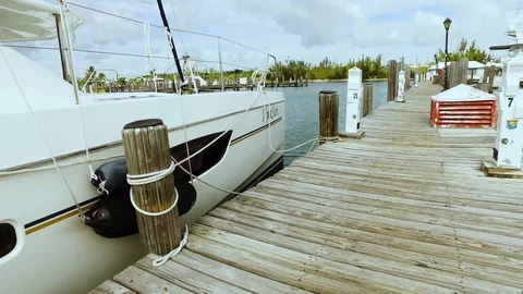 Port Spot Square Stock Footage 98803355