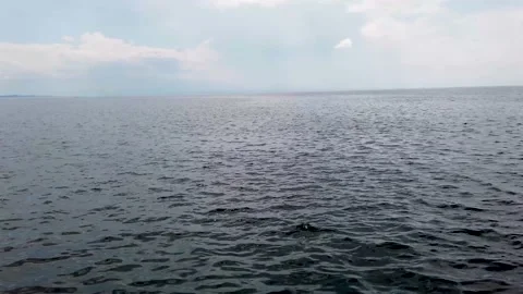 Port Steady3 Stock Footage 133221287