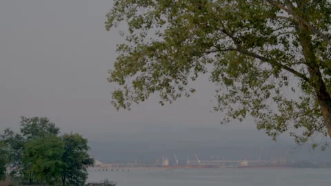 Port of Trieste seen through trees Stock Footage 339730592