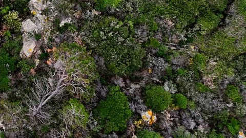 Port vendres Stock Photos