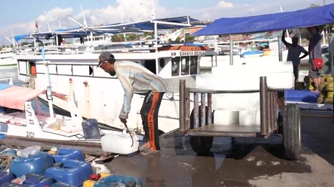 Port workers Video stock 199891973