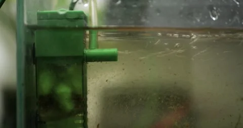 Portable Aquarium Pump Activated Extended Downtime Close Up Water Circulation Video stock 321809850