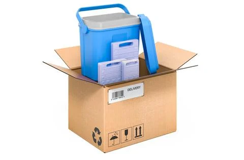 Portable cooler or chilly bin inside cardboard box, delivery concept. 3D rend Stockillustratie