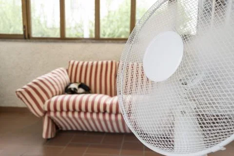 Portable Electric Fan Stock Photos