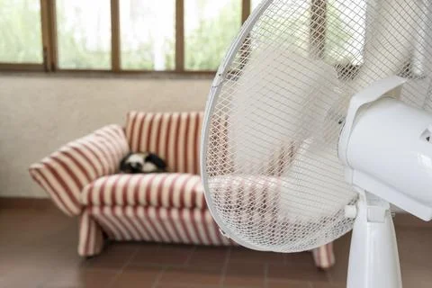 Portable Electric Fan Stock Photos