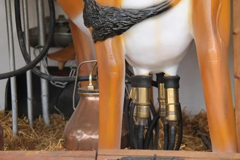 Portable Milking Machine. Stock Photos