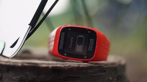 Portable solar panel charges a smartwatch on a tree stump in a summer day. Vídeo Stock 157456221