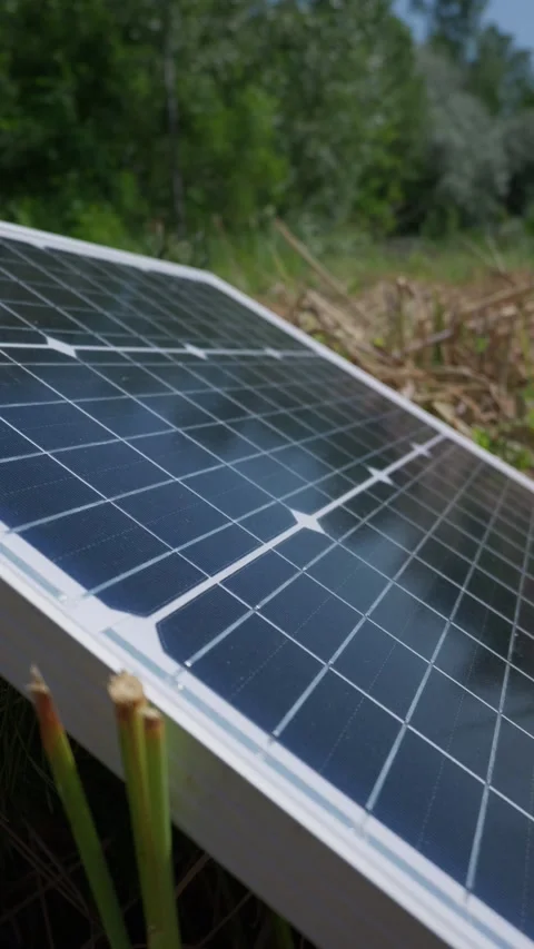 Portable Solar Panel Collecting Sunlight in Lush Green Meadow Environment Vídeos de archivo 341989193