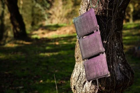 A portable solar panel hangs on a tree in the sun. Charging electronic gadg.. Stock Photos
