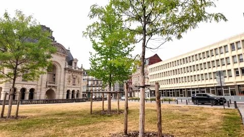 Porte de Paris historic gate in Lille France 스톡 동영상 344446607