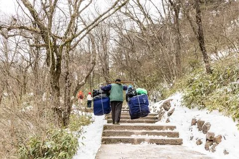 Porter workers carrying construction materials along steep steps at Huangshan Stock Photos
