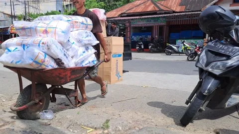The Porters is Transferring Sacks to Carts. Stock Footage 236404661