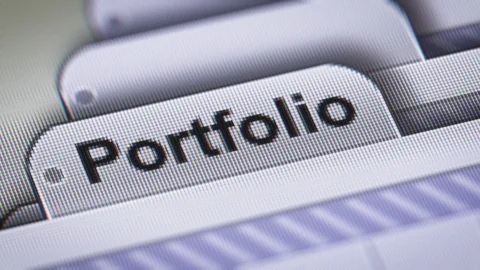 "Portfolio" on The File. Stock-Footage 73597711