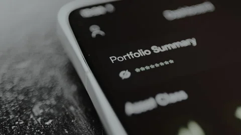 Portfolio Summary actual financial data is obscured by asterisks, protection for Stock-Footage 328880863