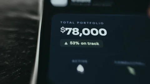 Portfolio Total Seventy Eight Thousand - Detailed Interface View Stock Footage 336388239