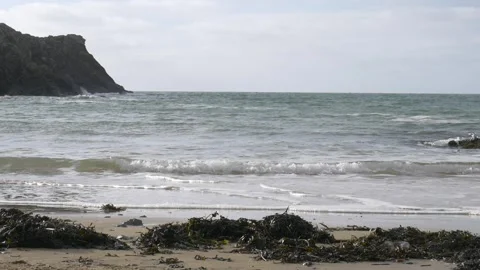 Porth Dafarch 07/02/23 Stock Footage 245345868