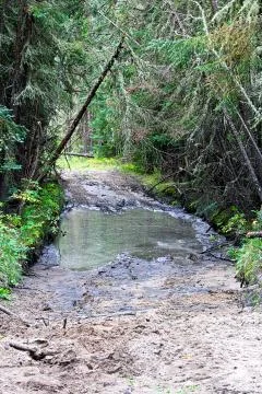 A portion of an atv trail going through water and mud Stock Photos