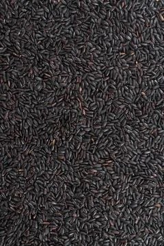 Portion of Black Rice (for use as background image or as texture) 写真素材