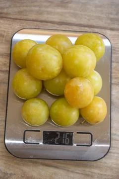 Portion control: fresh mirabelle plums on a kitchen scale Stock Photos
