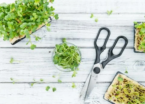 Portion of Cutted Cress Stock Photos