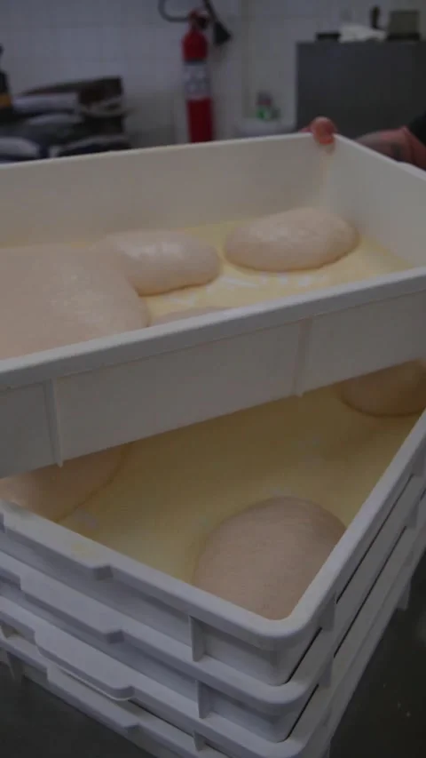 Portion dough rests in containers after being weighed and divided. Stock Footage 306006802