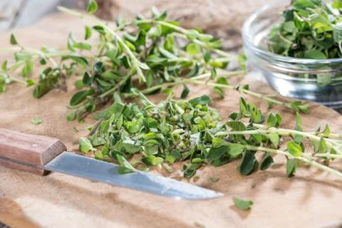 Portion of fresh oregano Stock Photos