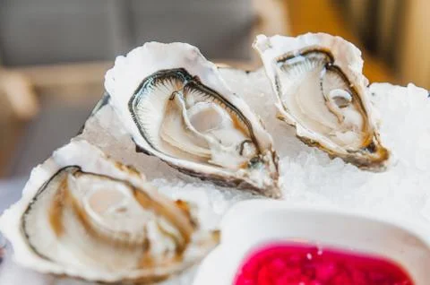 Portion of fresh oysters Stock Photos