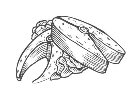 Portion of fried tuna Stock Illustration